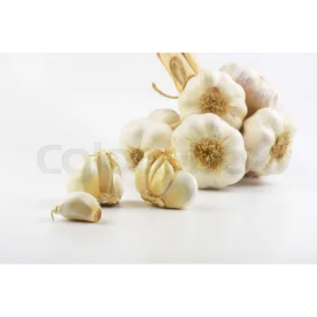 Organic Garlic 